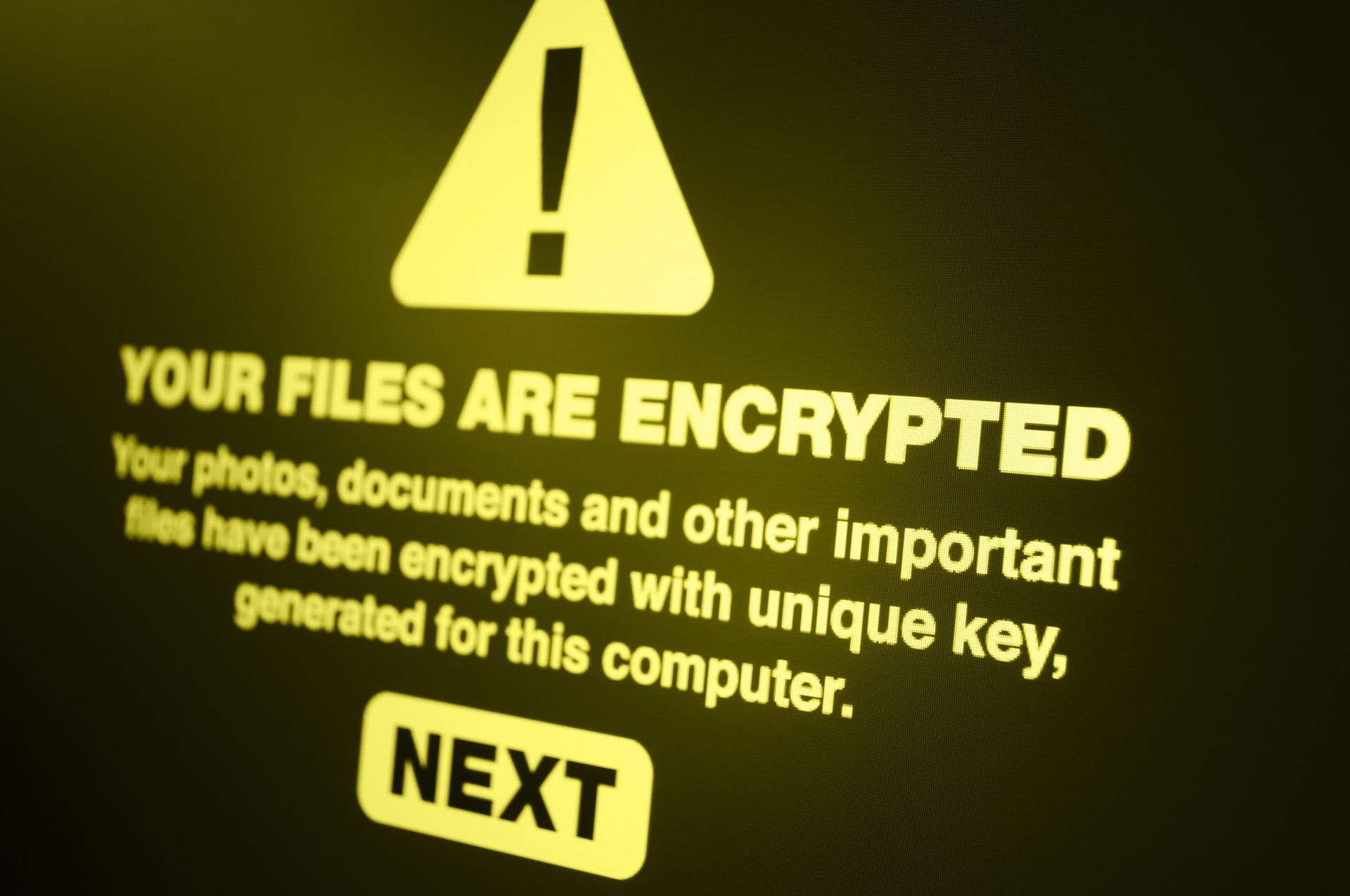 Ransomware - Close up of Your Files Are Encrypted on the Screen - Shallow Depth of Field